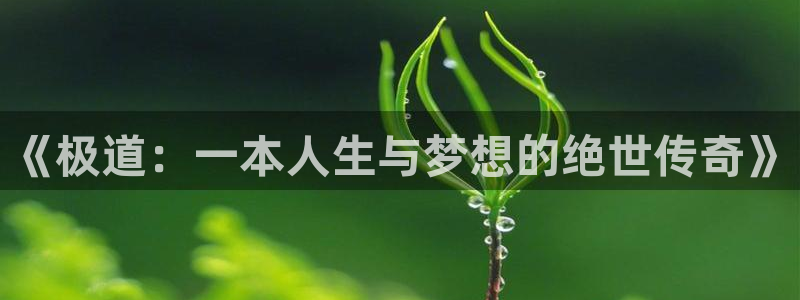 彩虹包子漫画：《极道：一本人生与梦想的绝世传奇》