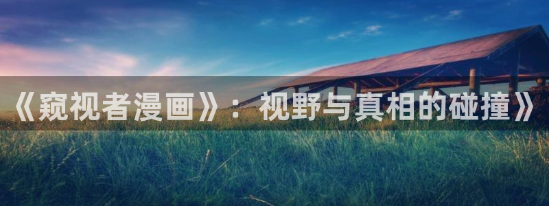 包子漫画大全：《窥视者漫画》：视野与真相的碰撞》