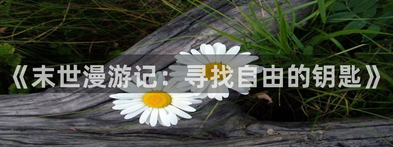 娘娘腔漫画版包子漫画入口：《末世漫游记：寻找自由的钥匙》